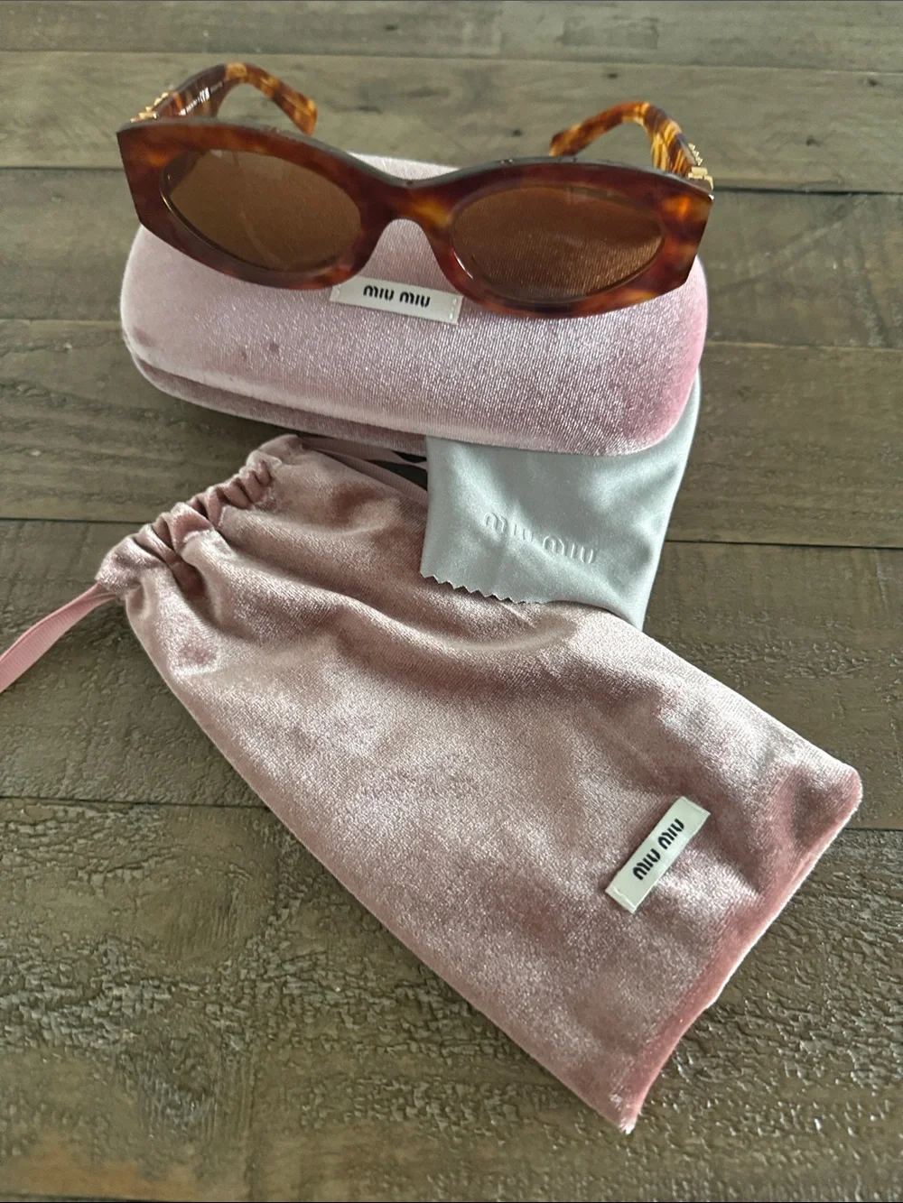 Miu Miu stylish cat